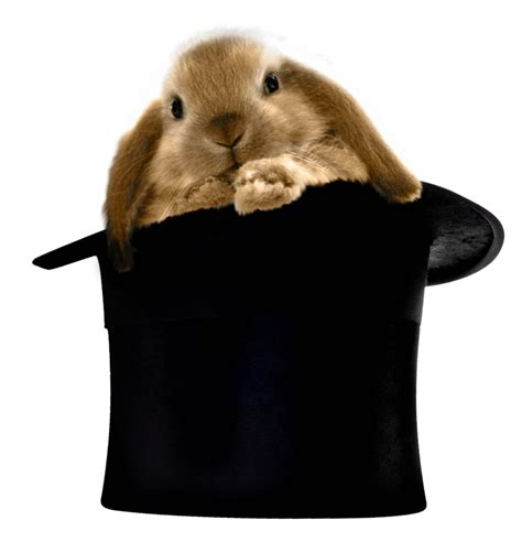Rabbit In Hat Png Clipart Gallery Yopriceville High