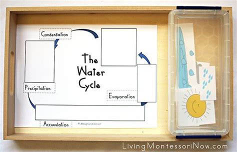 The Water Cycle Puzzle Or Cut And Paste Activity Science Enrichment