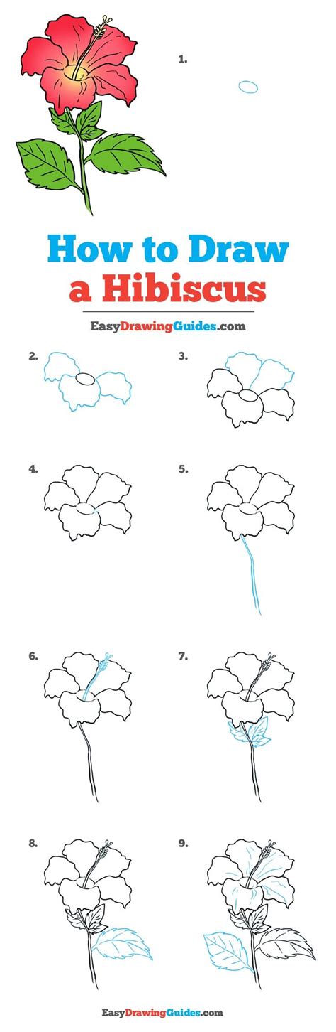How To Draw A Hibiscus Really Easy Drawing Tutorial Hibiscus