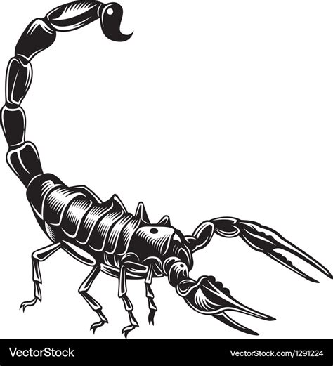 Scorpion Royalty Free Vector Image Vectorstock