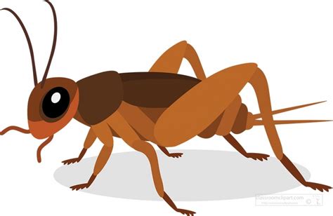 Insect Clipart Cricket Insects Animal Clipart