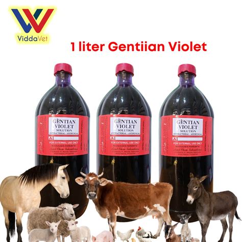 Davsaic 1 Liter Gentian Violet Solution Antiseptic For Wounds Shopee