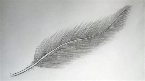 How To Draw Feather Pencil Drawingeasy Feather Drawingpencil Art