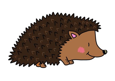 Hedgehog Clipart Simple Cartoon Hedgehog Simple Cartoon Transparent