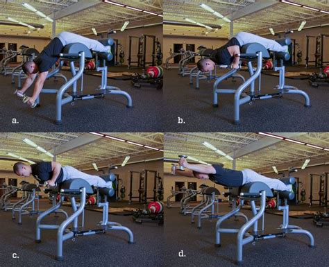 Bulletproof Your Spine With Back Extensions Poliquin Article