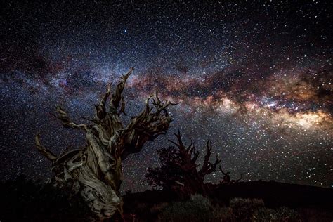 Starry Night Sky High Res California Landscape Milky Way Photography