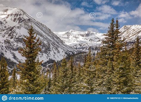 Snow Covered Mountain Peaks And Green Pine Trees Under Partly Cloudy