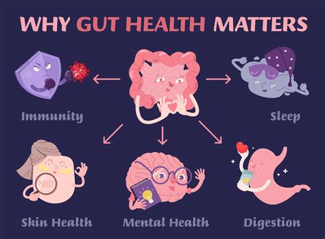 Why Gut Health Is Important