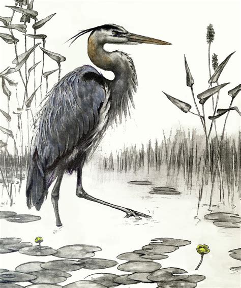 Great Blue Heron Drawing By Carol Phenix