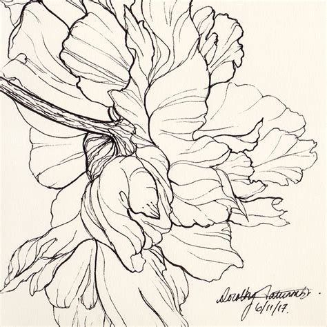 A Summers Worth Of Blooms Pen And Ink Flower