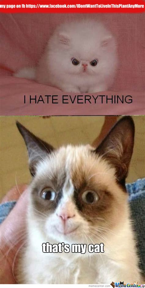 I Found Grumpy Cat Son By Diaa Swaggie Meme Center