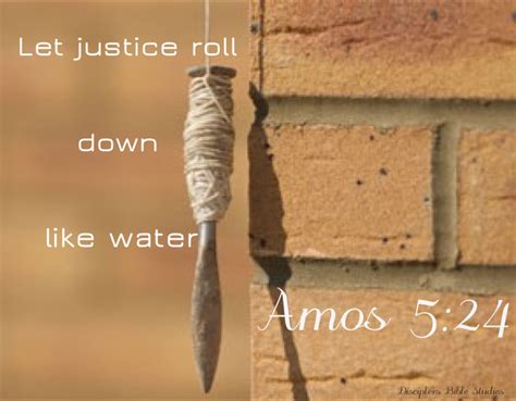 Amos The Plumb Line Prophet Bible Study Notebook Scripture Study