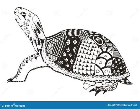 Turtle Zentangle Stylized Vector Illustration Freehand Pencil