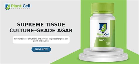 Agar Types Production And Application Plant Cell Technology Your