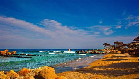 Shore Of The Red Sea Egypt Photograph By Yuri Hope