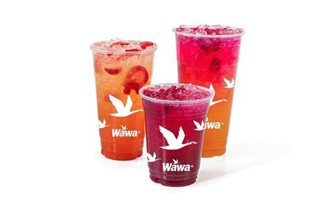 Wawa Expands Beverage Offer With Refreshers Launch Cstore Decisions