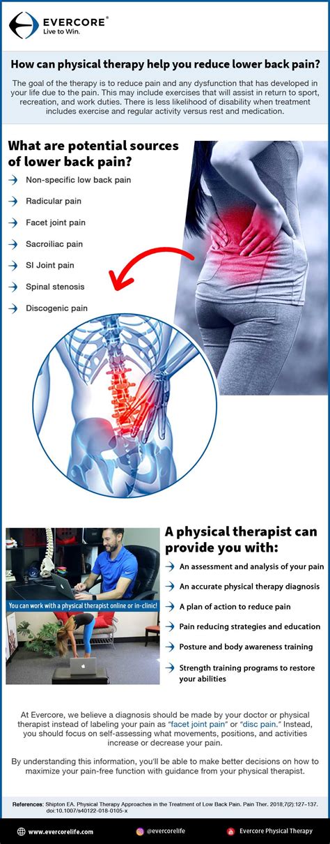 How Can Physical Therapy Help You Reduce Lower Back Pain Evercore