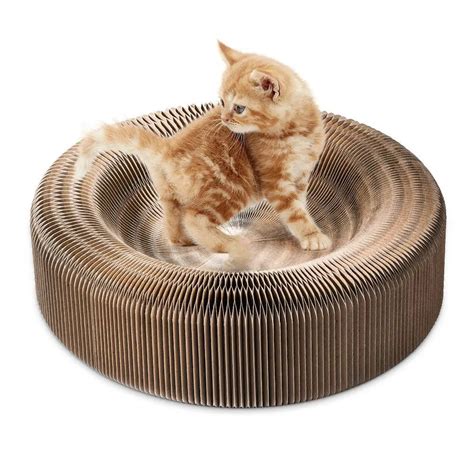 Buy Portable Cat Scratcher Lounge Collapsible