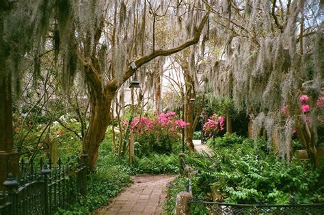 Last April In Charleston South Carolina Porch Swings Charleston