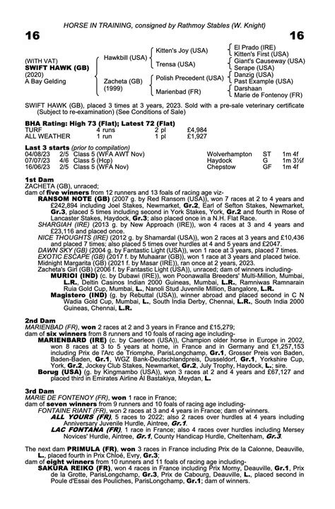 Previous Lot Lot 16 - Swift Hawk (GB) B.G.