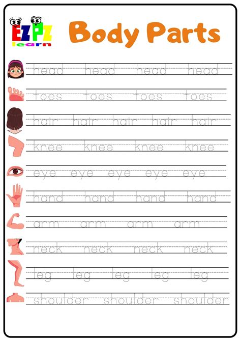 Body Word Tracing Worksheet
