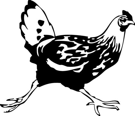 We did not find results for: running chicken black white line art coloring book ...