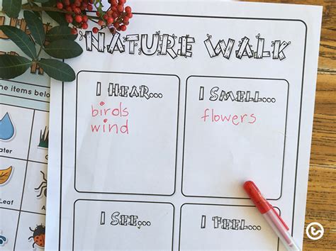 11 Nature Walk Activities For Kids To Add To Your Teacher Toolkit