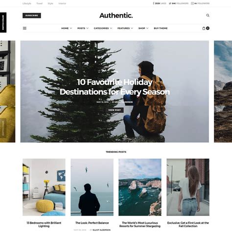 15 Best Wordpress Blog Themes And Templates For 2020