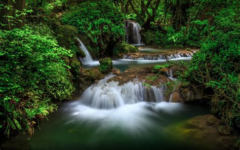 Cascading Waterfalls In Forest Image Abyss