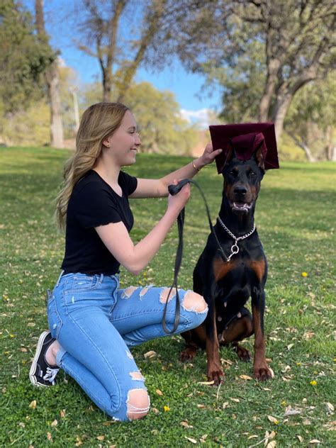 About Us – BNP Euro Dobermans