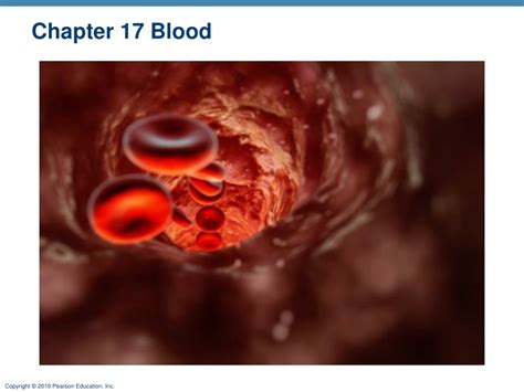 Ppt Chapter 17 Blood Powerpoint Presentation Free Download Id8821345
