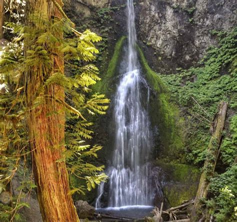 Marymere Falls In Olympic National Park ⋆ Back Road Ramblers