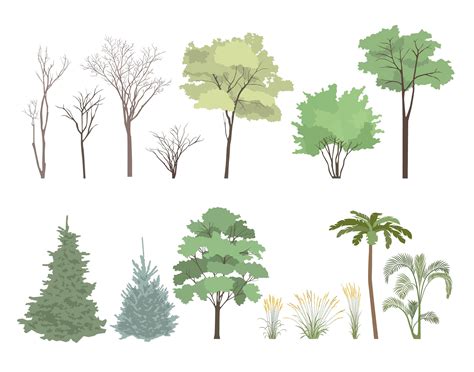 15 Conjunto de árboles vectoriales planos Clipart Flat Etsy