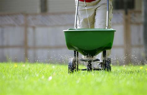 Fertilizer is a key ingredient in growing and maintaining a green, healthy lawn. 5 Best Lawn Fertilizer Reviews | Essential Nutrients for Fertilizing New Grass - GardenAware.com
