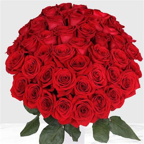Costco Is Selling 50 Red Roses For Just 40 For Valentines Day
