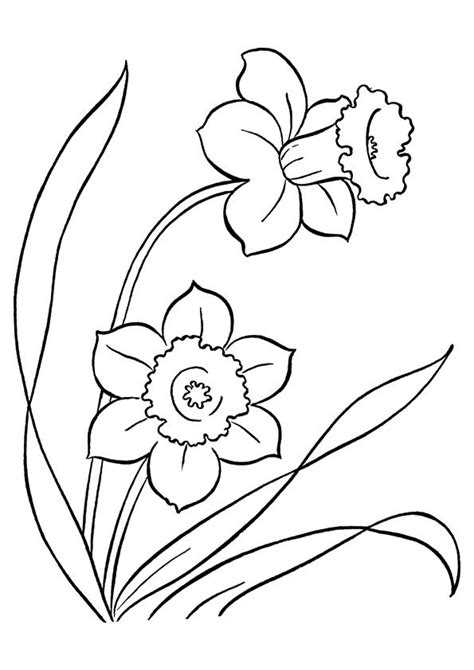 Free Printable Lily Coloring Pages, Lily Coloring Pictures for