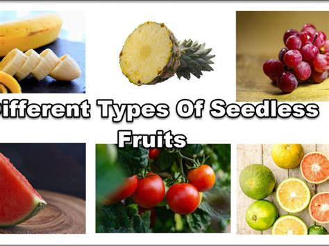Seedless Fruit Vlrengbr