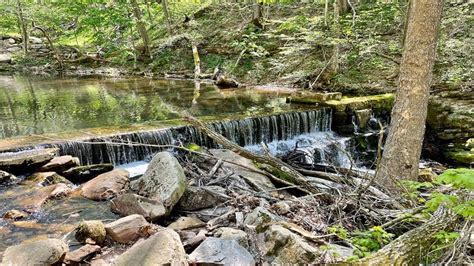 Mill Creek Nature Park A Waterfall Hike In Narrows Va