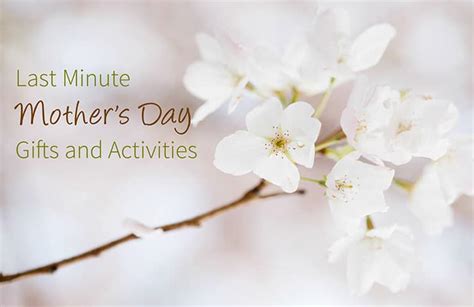 My hope is that you've been making plans around your ppc campaigns for this holiday for several weeks. Last Minute Mother's Day Ideas - 5 Minutes for Mom