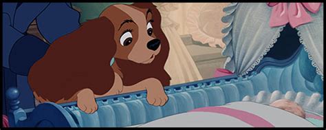 2014 The Year Of Disney Project Lady And The Tramp 1955