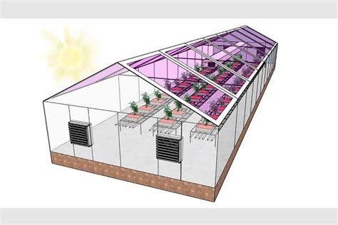 Many Greenhouses Could Become Energy Neutral By Using See Through Solar