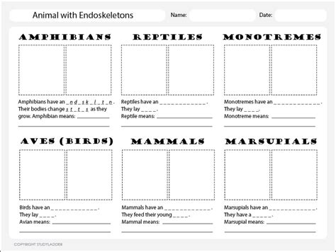 High Quality Animal Classification System Chart Updated Animal Care