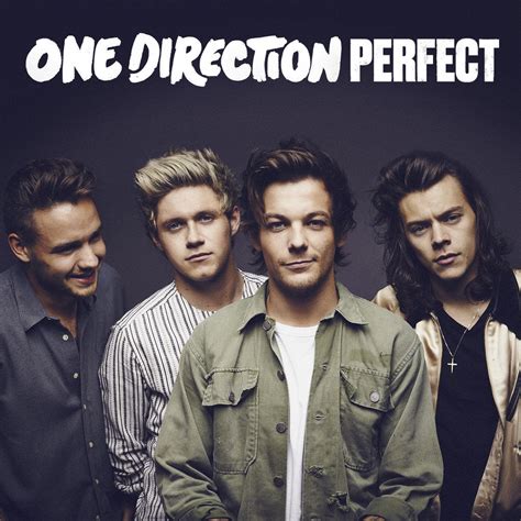 one direction s new music video for perfect is actually perfection