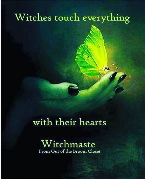 Pin By Amy Shimerman On Wiccan Fish Pet Witch Broom Closet