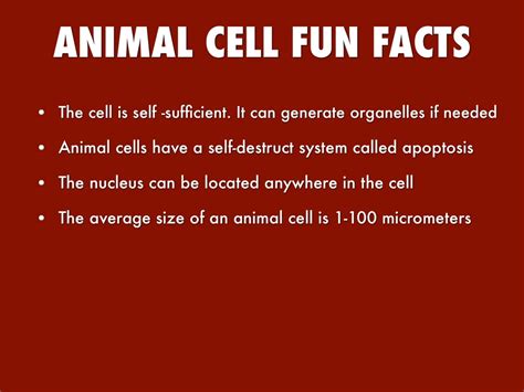Humans, for example, also have hundreds of different cell types. Cell Organelles and Their Processes by Lexi Helman