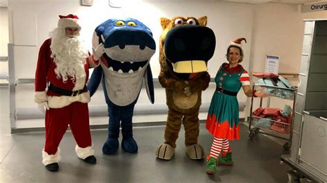 Oggy Zig And Sharko Celebrate Christmas With Cékedubonheur And Un