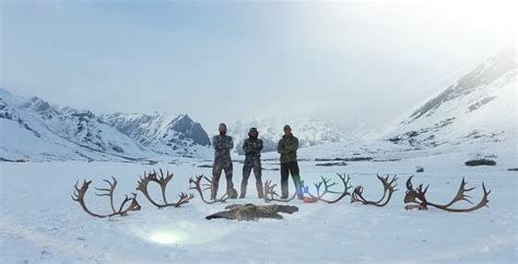 Alaska Brooks Range Fly In Caribou Hunt For Two Hunters