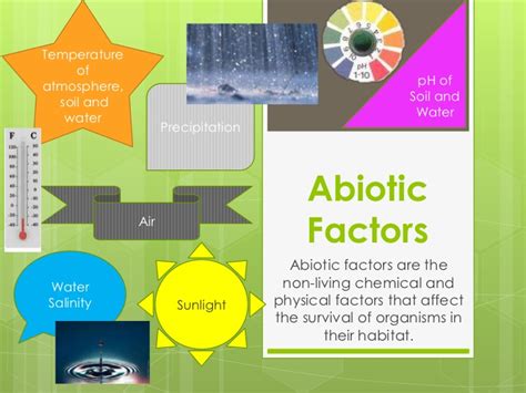 Two types of ecological factors are distinguished: Abiotic and Biotic Factors