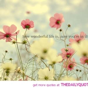 You could walk right by it, and never know it was there. Wildflower Quotes And Sayings. QuotesGram