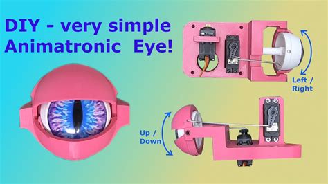 Diy Simple Animatronic Eye Mechanism Youtube